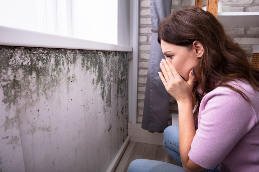 Mold Removal by 90 Degrees Restoration
