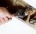 Tujunga Emergency Plumbing by 90 Degrees Restoration